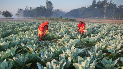 Bangladesh food prices